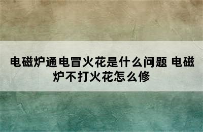 电磁炉通电冒火花是什么问题 电磁炉不打火花怎么修